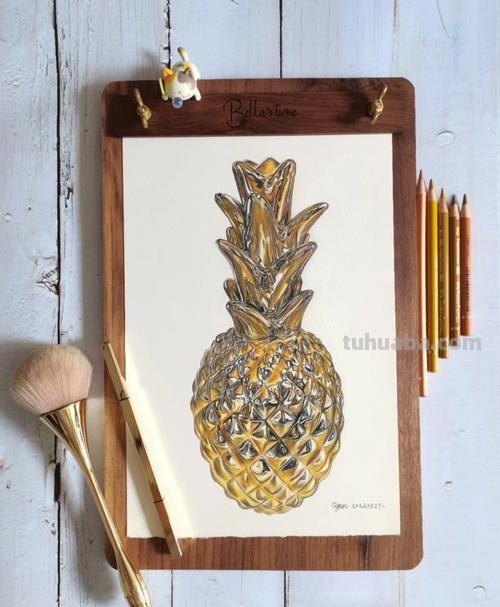 水果彩铅画教程是什么画 怎么用彩铅画立体的菠萝？