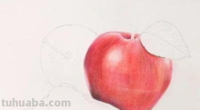 水果彩铅画教程是什么画 怎么用彩铅画立体的菠萝？