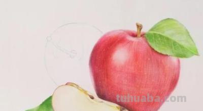 水果彩铅画教程是什么画 怎么用彩铅画立体的菠萝？