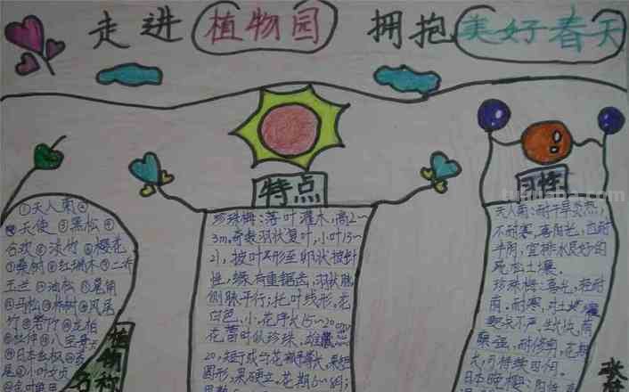 植物园手抄报怎么做 手抄报怎样办？