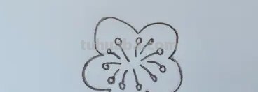 用油性彩铅画梅花怎么画 怎么画梅花~用铅笔图片？