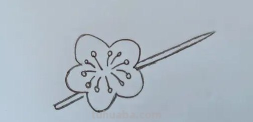 用油性彩铅画梅花怎么画 怎么画梅花~用铅笔图片？