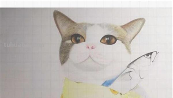 彩铅画正面的小猫怎么画 彩色铅笔画可爱的小猫咪的教程详细步骤？