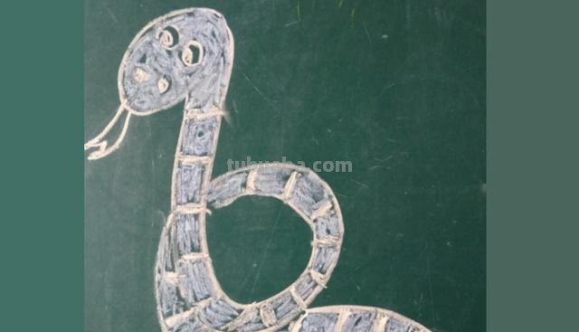 可爱的蛇怎么画简笔画 如何画蛇蛇简笔画步骤图？