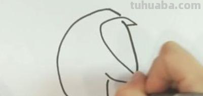怎么画企鹅简笔画图片 q版企鹅画？