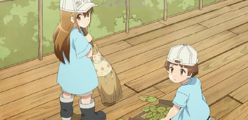 《工作细胞》里的知识都是真的吗?有何依据?