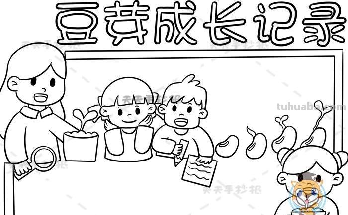 豆芽怎么画简笔画图片 豆芽发芽过程画一画？