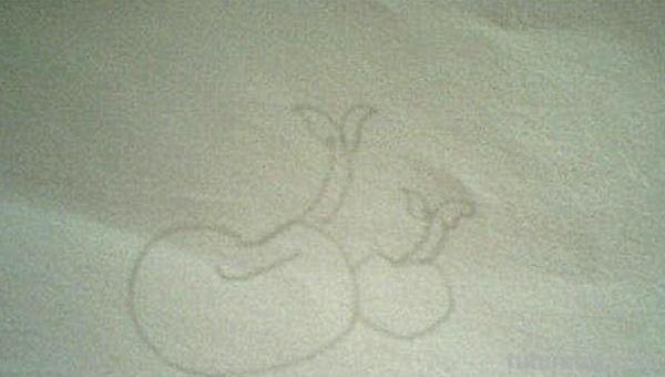 豆芽怎么画简笔画图片 豆芽发芽过程画一画？