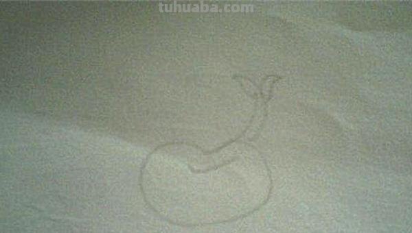 豆芽怎么画简笔画图片 豆芽发芽过程画一画？