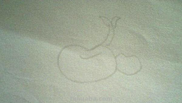 豆芽怎么画简笔画图片 豆芽发芽过程画一画？