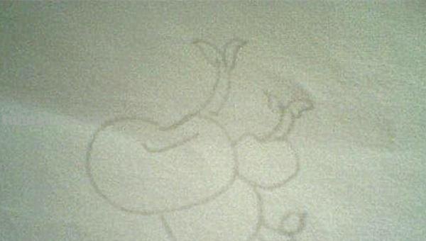 豆芽怎么画简笔画图片 豆芽发芽过程画一画？