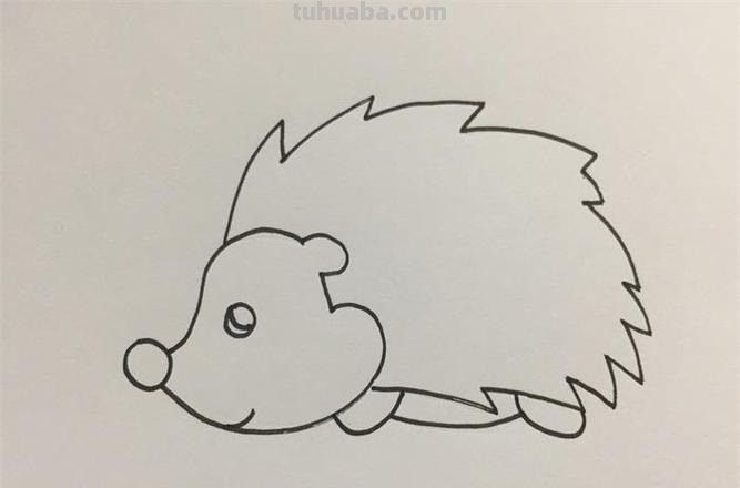 刺猬怎么画简笔画图片 如何画一只大的刺猬？