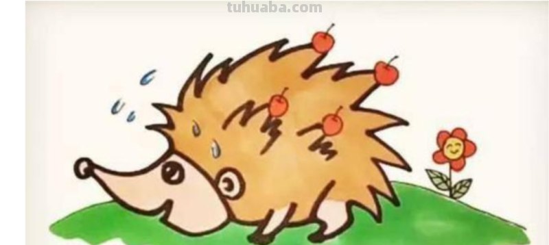 刺猬怎么画简笔画图片 如何画一只大的刺猬？