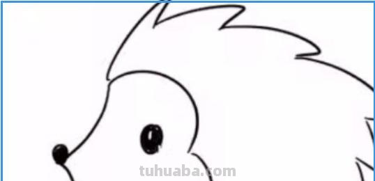 刺猬怎么画简笔画图片 如何画一只大的刺猬？
