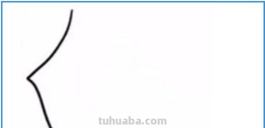 刺猬怎么画简笔画图片 如何画一只大的刺猬？
