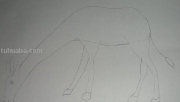 怎么画长颈鹿简笔画 一二三年级画长颈鹿？