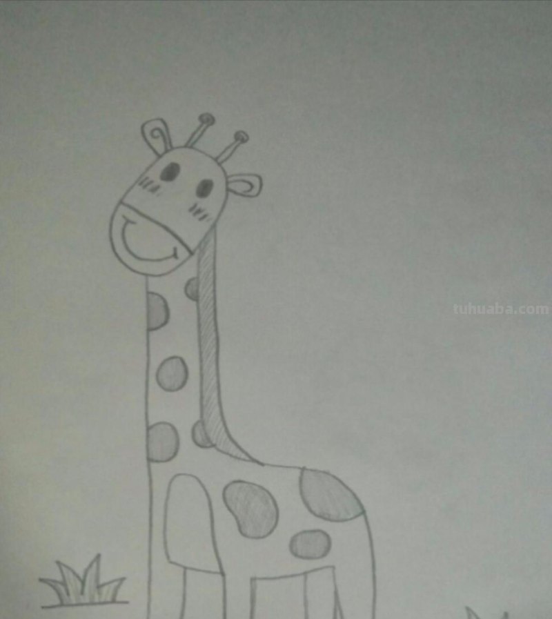 怎么画长颈鹿简笔画 一二三年级画长颈鹿？