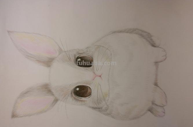用油性彩铅画动物怎么画 彩铅手绘兔子教程?