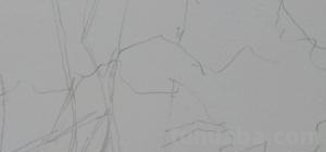 速写植物线 植物素描技巧？