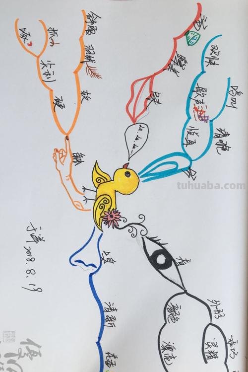 英语小鸟思维导图怎么写 小鸟的英语是什么?