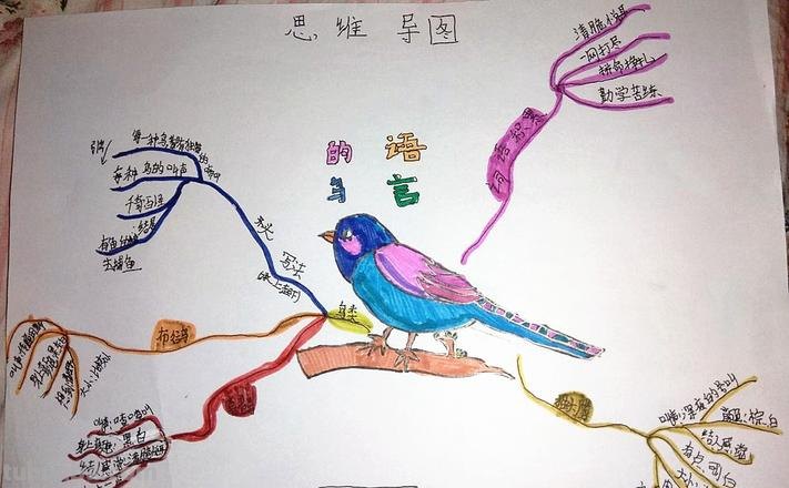 英语小鸟思维导图怎么写 小鸟的英语是什么?