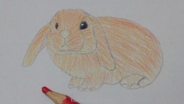 儿童彩铅画怎么画可爱的 儿童彩铅画教程入门零基础？