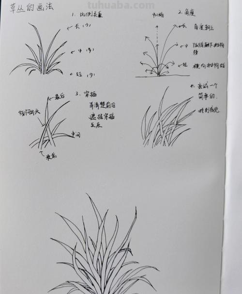 野草丛速写 速写里的线描有哪几种？