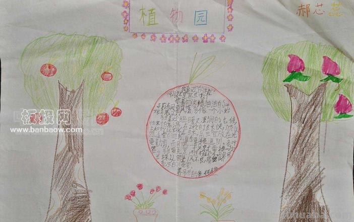 植物园的手抄报怎么做 怎么样做好看的手抄报？