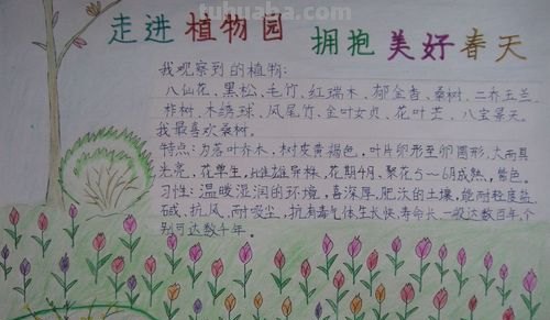 植物园的手抄报怎么做 怎么样做好看的手抄报？