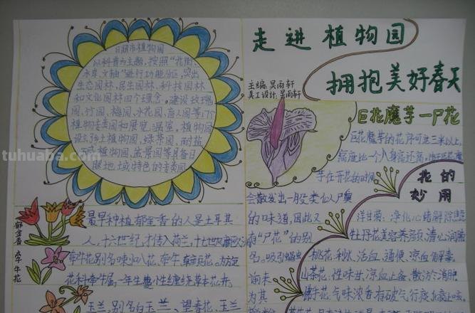 植物园的手抄报怎么做 怎么样做好看的手抄报？