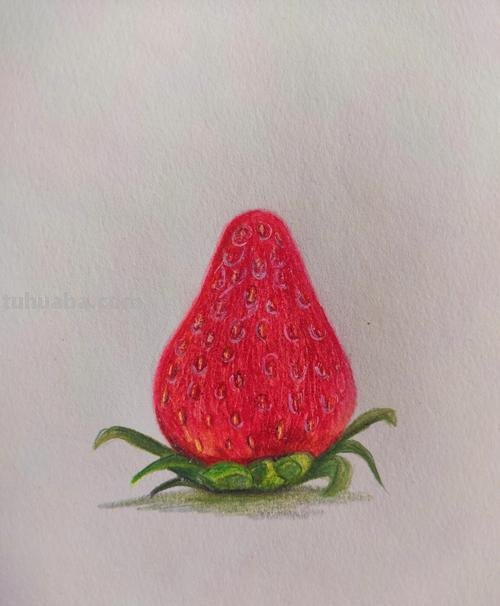 零基础也能画彩铅，教你画一颗草莓