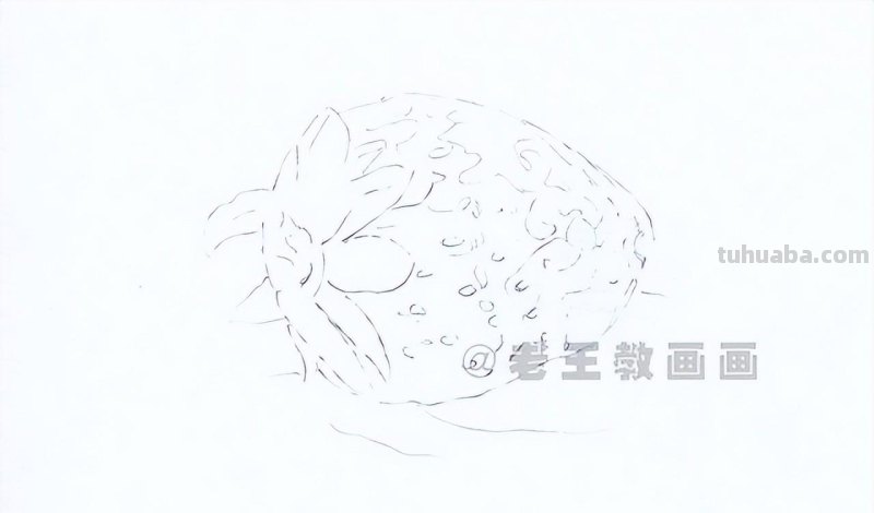 零基础也能画彩铅，教你画一颗草莓