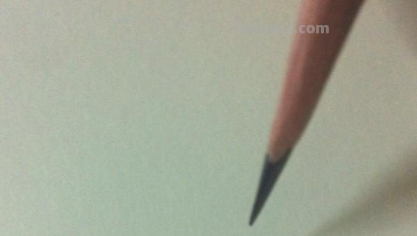 彩铅画怎么画立体小鸟图片 怎么画小鸟步骤教学？