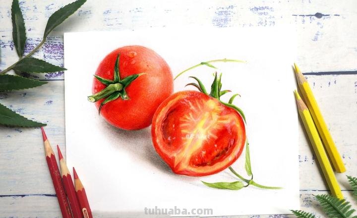 儿童彩铅画小番茄怎么画 水果蔬菜彩铅画教程？
