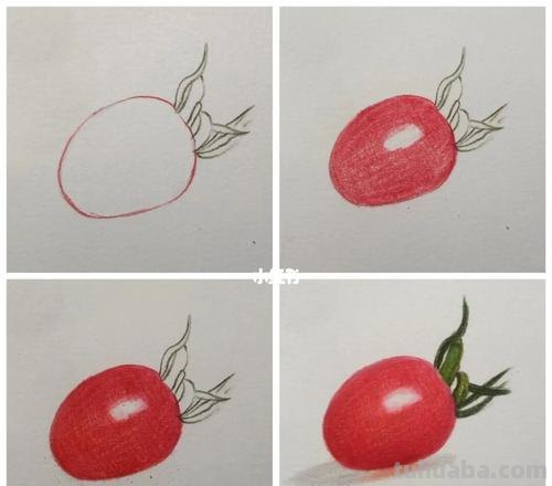 儿童彩铅画小番茄怎么画 水果蔬菜彩铅画教程？