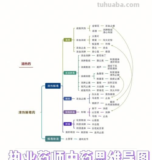 中药搭配思维导图怎么画 中药学搭配什么专业好？