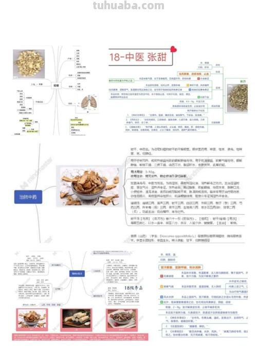 中药搭配思维导图怎么画 中药学搭配什么专业好？