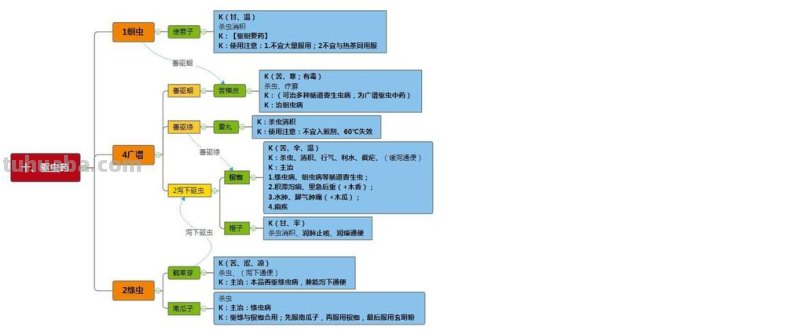 中药搭配思维导图怎么画 中药学搭配什么专业好？
