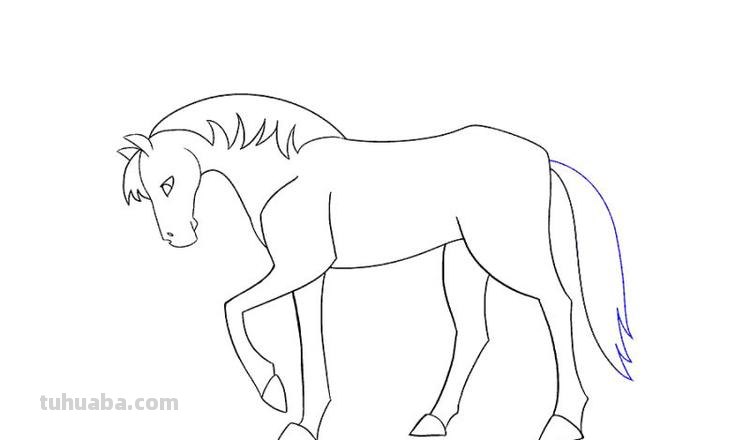 初学者怎么学简笔画 如何画简笔画。没有美术基础的。请教···？