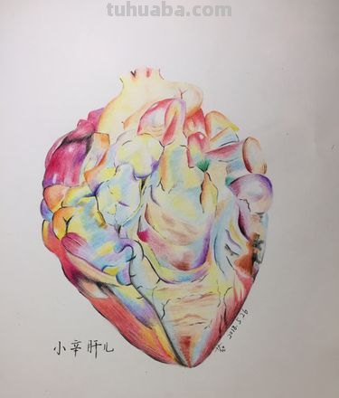 心脏构图的彩铅画怎么画 彩铅素描基础入门教程步骤？