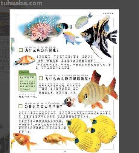 儿童十万个为什么的手抄报 四年级十万个为什么手抄报？