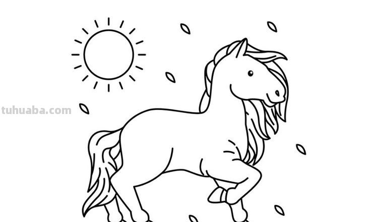 马怎么画简笔画又漂亮 马的简笔画画法？