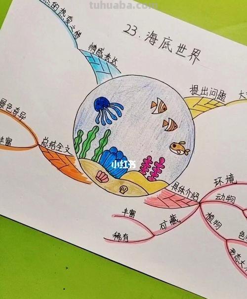生命单元思维导图怎么画 海洋生命大揭秘的思维导图怎么做？