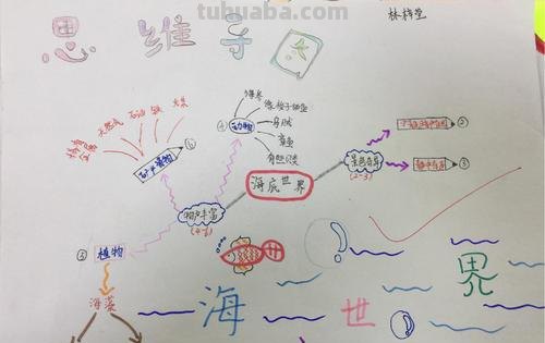 生命单元思维导图怎么画 海洋生命大揭秘的思维导图怎么做？