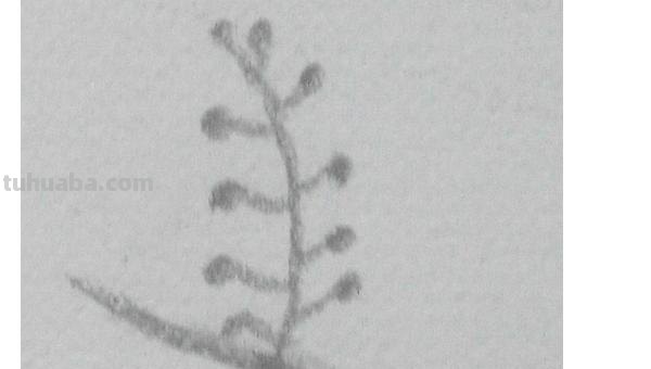 白天和黑夜彩铅画怎么画 日落，彩色铅笔绘画，详细步骤教程？