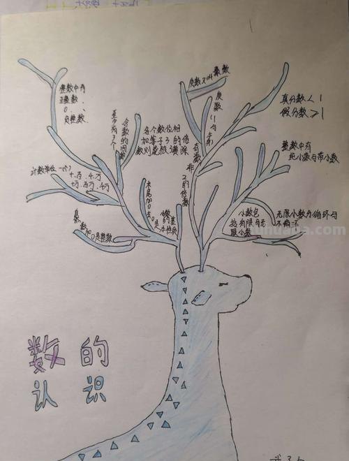 思维导图应该怎么写数学 数一数思维导图怎么做？