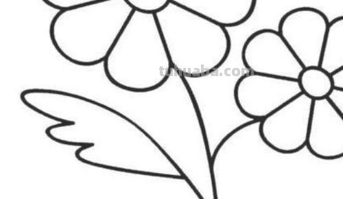 昙花怎么画简笔画图片 昙花素描步骤？
