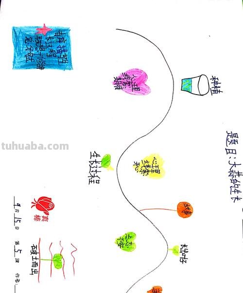 行为观察思维导图怎么画 如何进行幼儿行为观察？