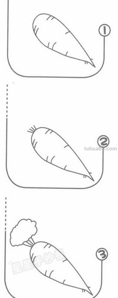 蔬菜怎么画简笔画图片 简笔画卡通胡萝卜的画法？