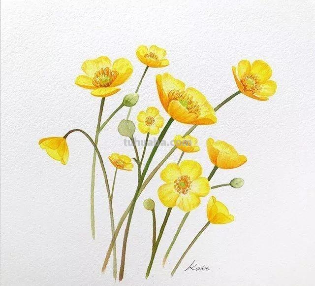 这些水彩插画作品，看完整个世界都美好了！附教程